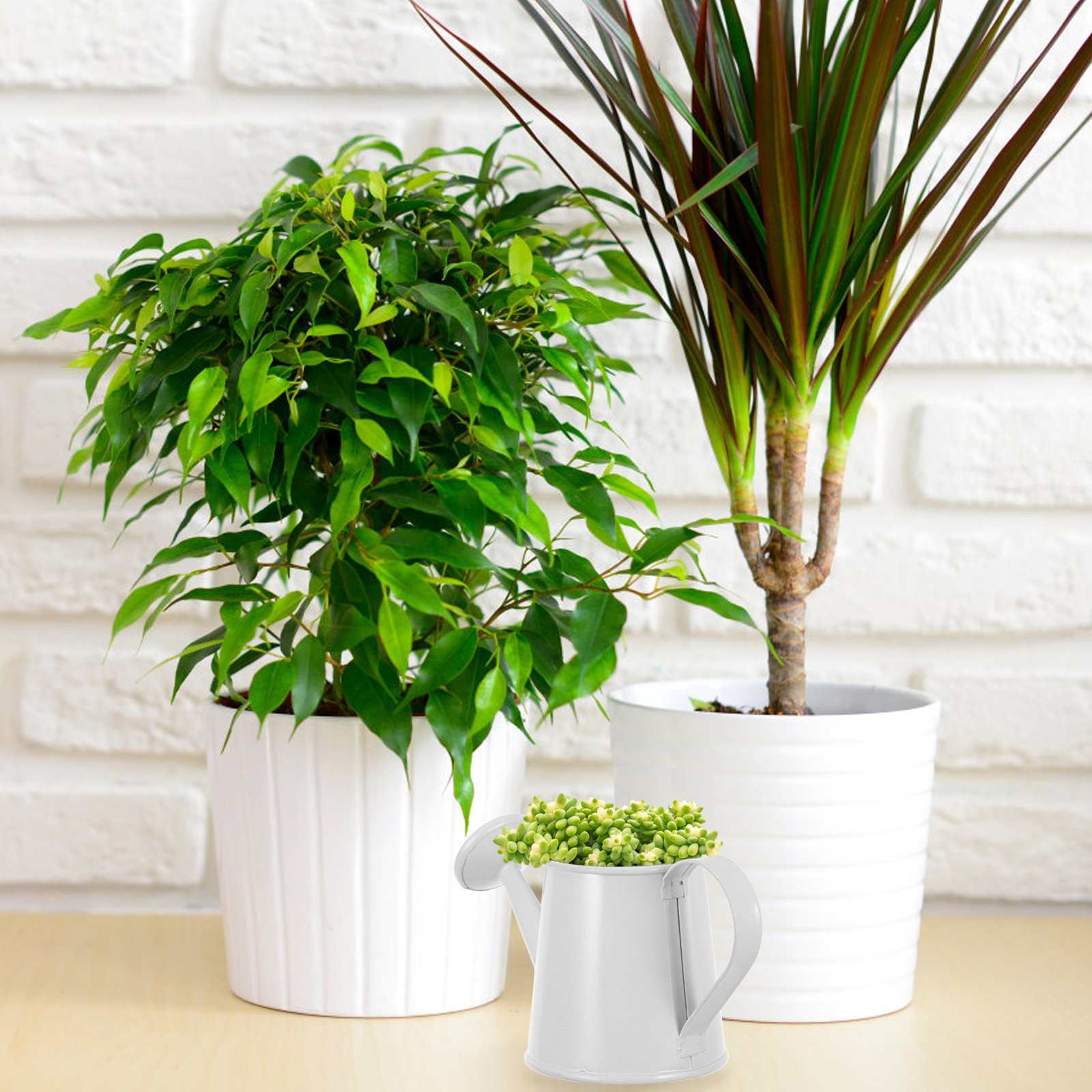 Home Office With Bookshelves - Arrosoir miniature en fer pour plantes