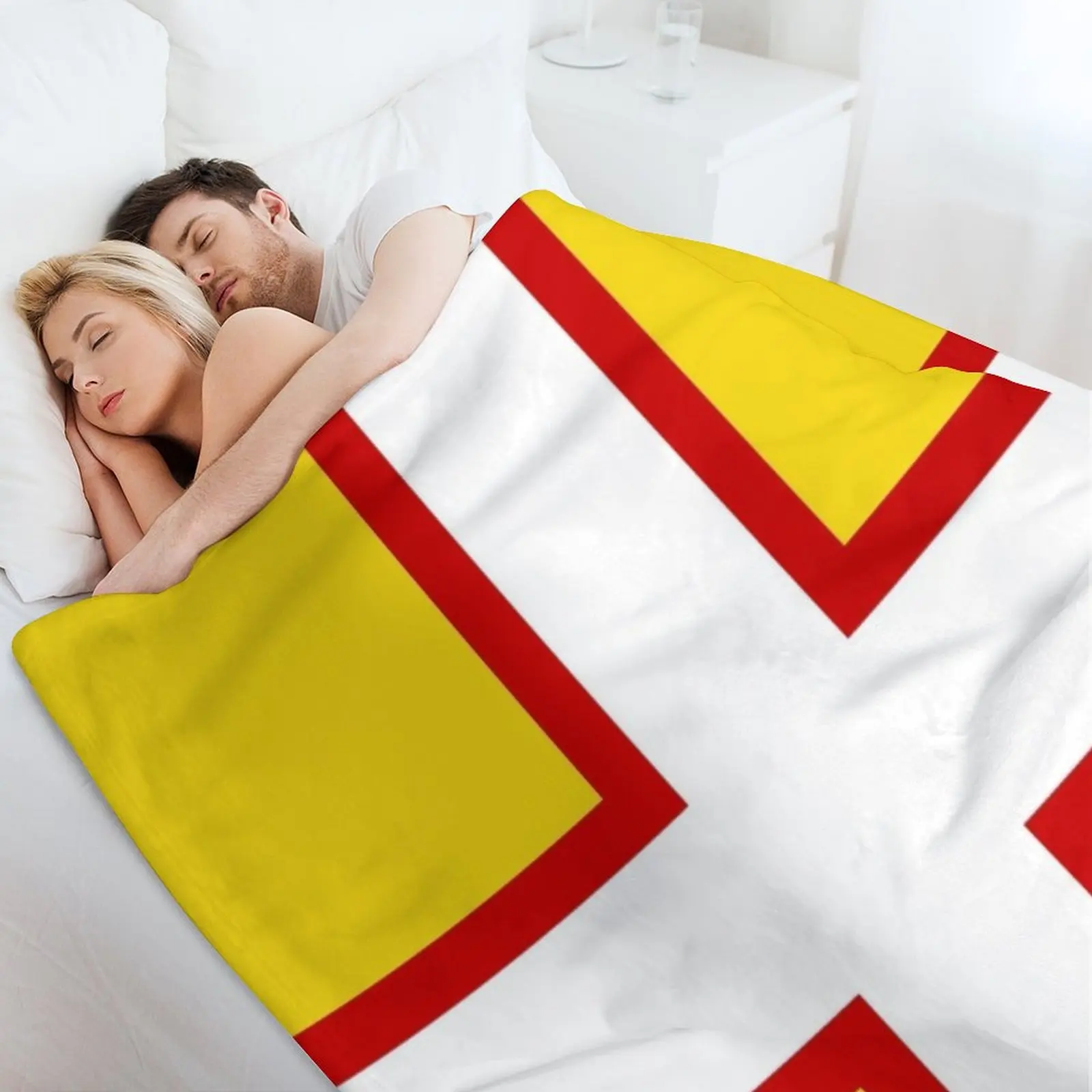 Couverture FLAG OF DORSET ENGL - Home Office England avis et prix