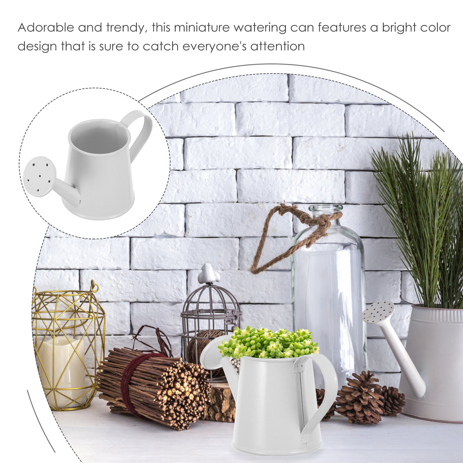 Arrosoir miniature en fer pour - Home Office With Bookshelves avis et prix